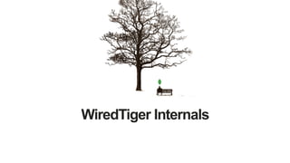 WiredTiger Internals
 