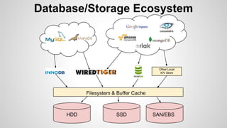 Database/Storage Ecosystem 
 