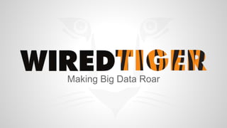 Making Big Data Roar 
 