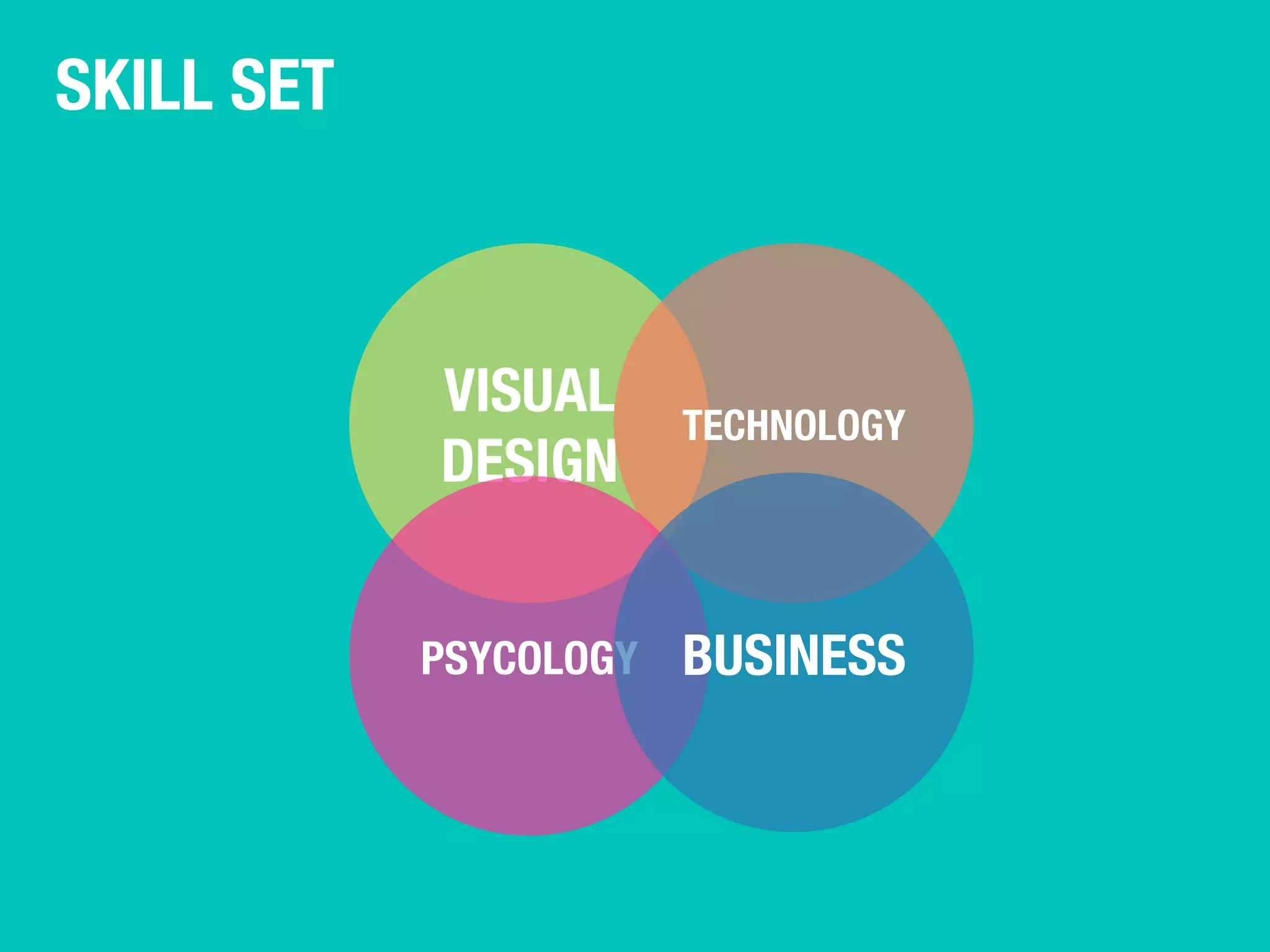 SKILL SET 
VISUAL 
DESIGN 
TECHNOLOGY 
PSYCOLOGY 
BUSINESS 
 