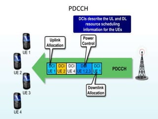 PDCCH
 