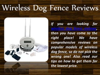 If you are looking for
wireless dog fence reviews,
then you have come to the
right place! We have
comprehensive reviews on
popular models of wireless
dog fence, so do not pick the
wrong one! Also read our
tips on how to get them for
the lowest price.
 