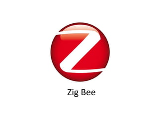 Zig Bee
 