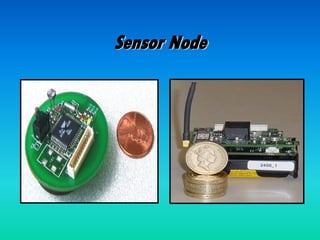 Sensor Node
 