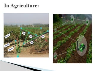 In Agriculture:
 