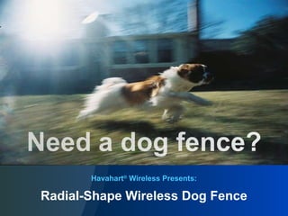 Havahart ®  Wireless Presents: Radial-Shape Wireless Dog Fence 