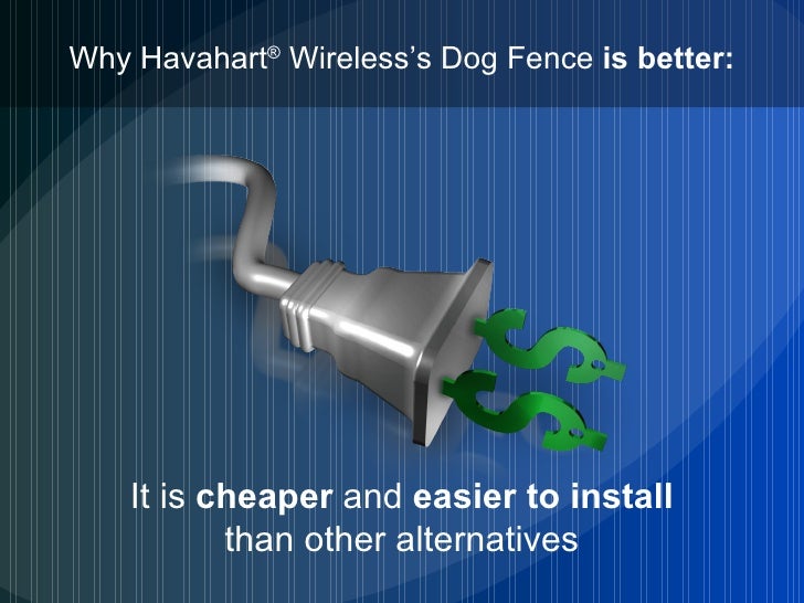 What Collar Works With Havahart Dog Underground Fence What Collar Works With Havahart Dog Underground Fence