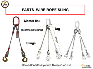 PARTS WIRE ROPE SLING


  Master link

Intermediate links        tag



    Slings




Hooks/Shackles/Eye with Thimble/Soft Eye
 
