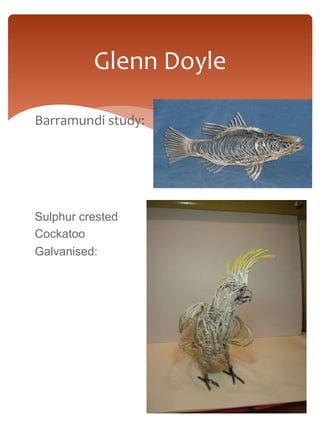 Glenn Doyle 
Barramundi study: 
Sulphur crested 
Cockatoo 
Galvanised:wire and enamel 
 