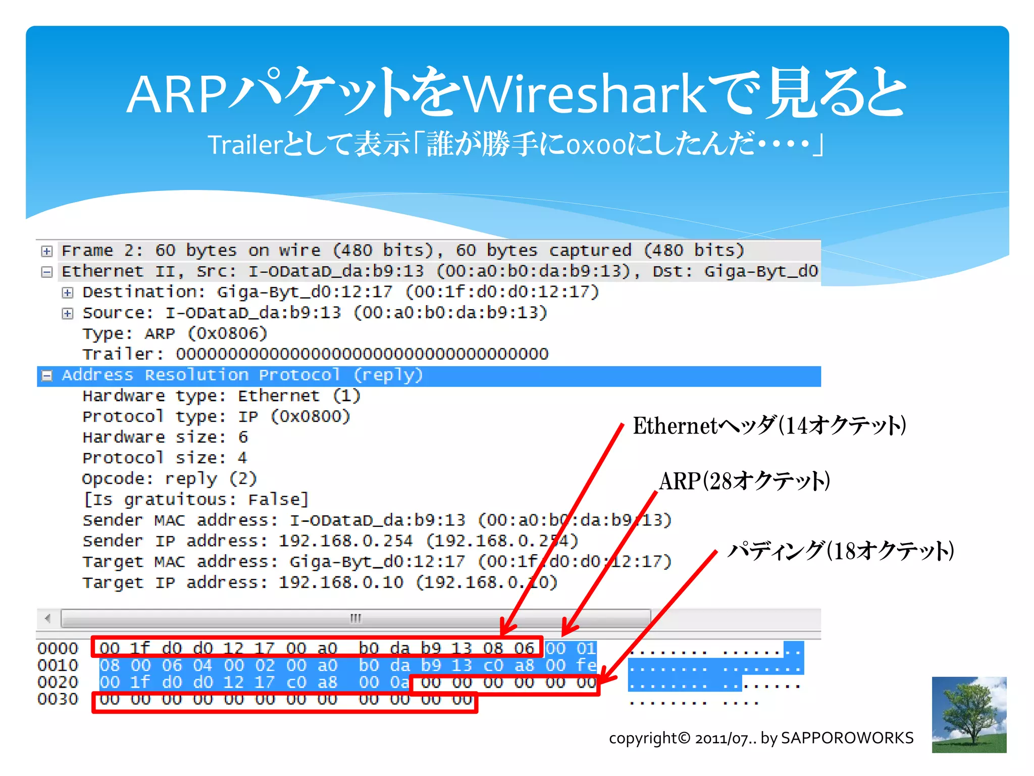Wiresharkで検出できないチャットプログラム | PDF