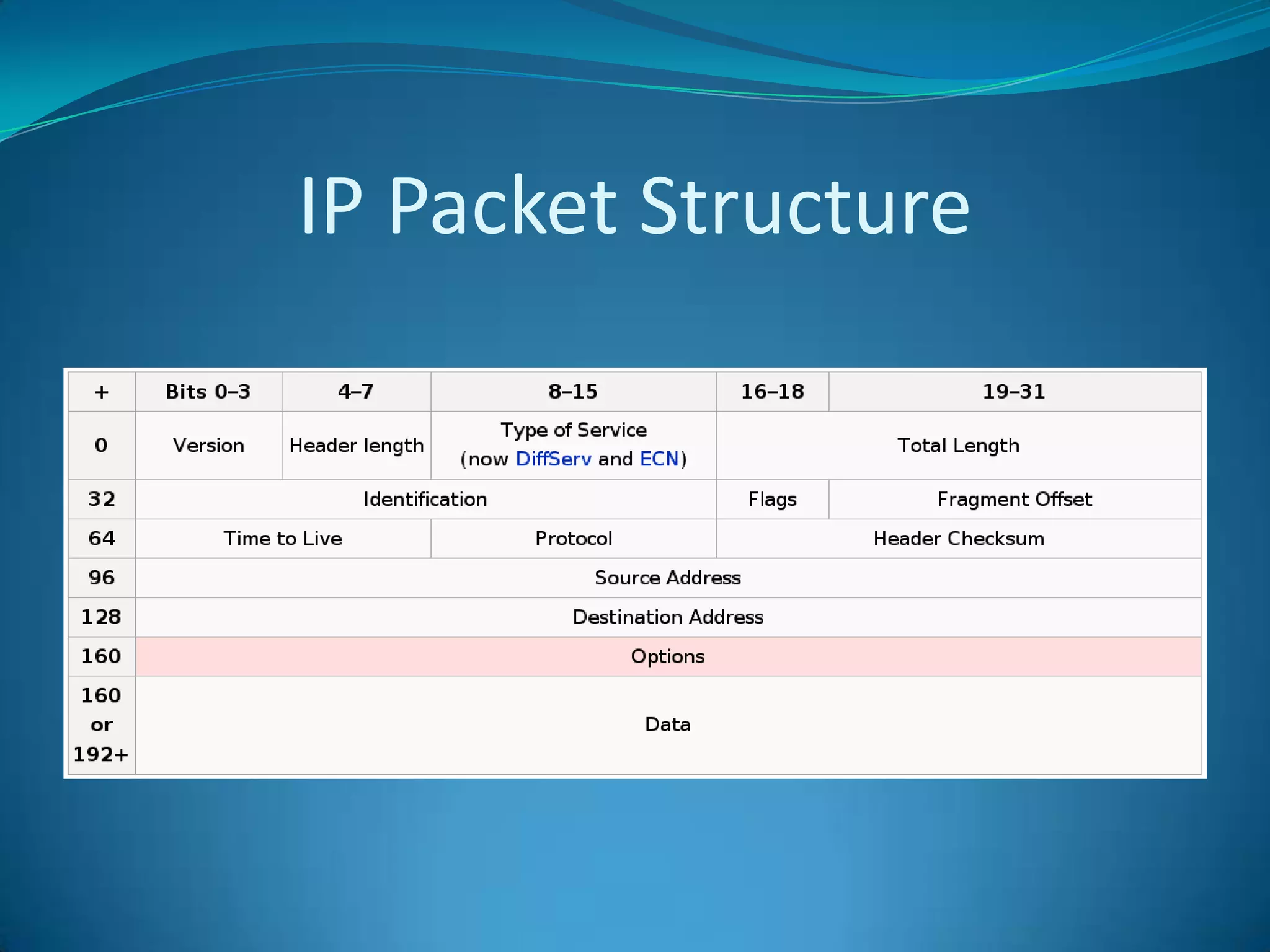 IP Packet Structure
 