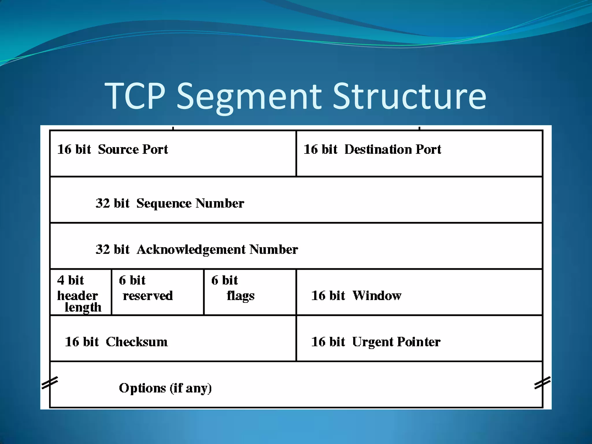 TCP Segment Structure
 