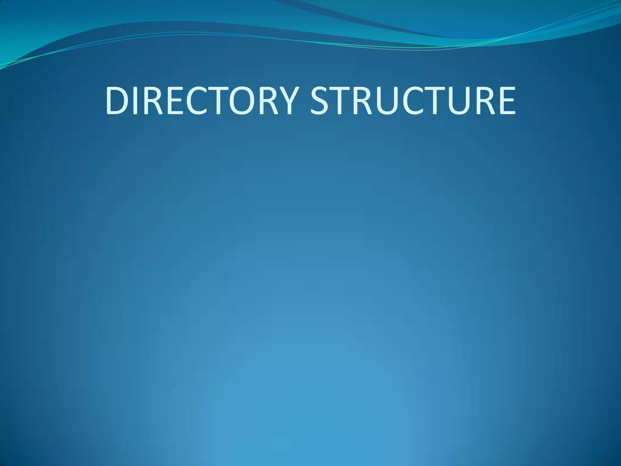 DIRECTORY STRUCTURE
 