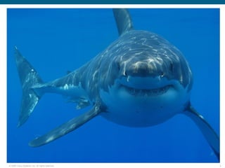 © 2006 Cisco Systems, Inc. All rights reserved.   2
 