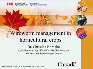 Wireworm management in
horticultural crops
Dr. Christine Noronha
Agriculture and Agri-Food Canada Charlottetown
Research and Development Centre
Presentation to ACORN November 25, 2015 - PEI
 