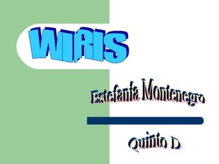 WIRIS Estefanía Montenegro Quinto D 