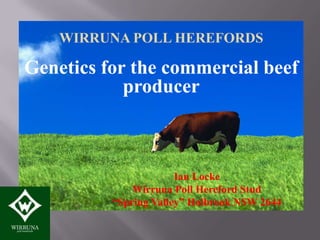 WIRRUNA POLL HEREFORDS

Genetics for the commercial beef
            producer



                       Ian Locke
              Wirruna Poll Hereford Stud
          “Spring Valley” Holbrook NSW 2644
 