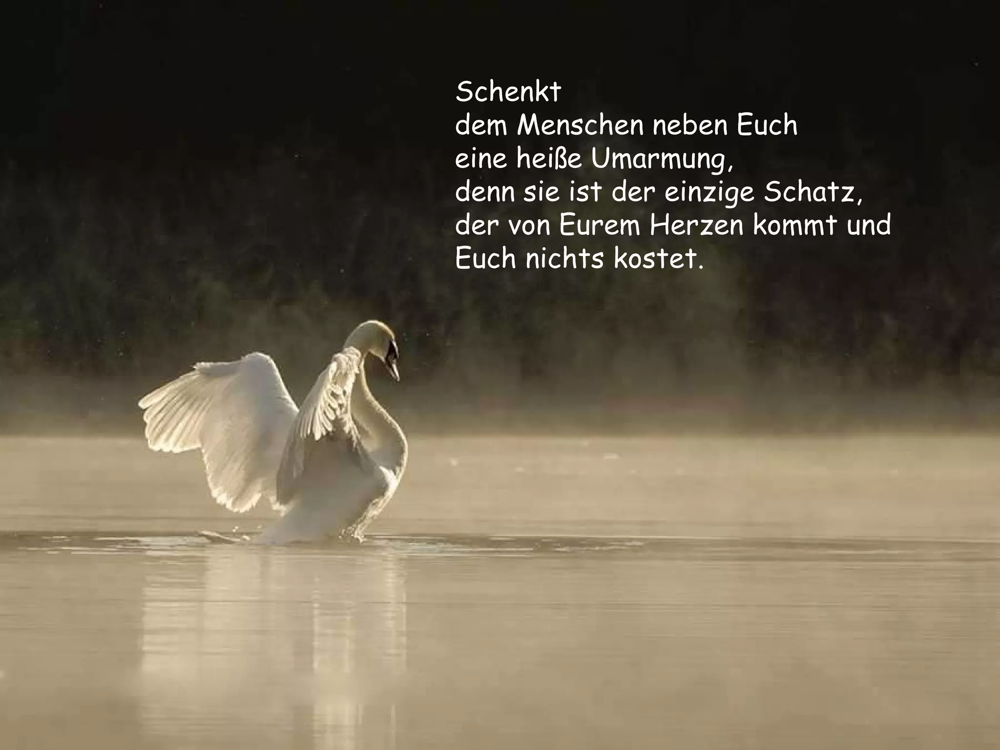 Schenkt  dem Menschen neben Euch  eine heiße Umarmung,  denn sie ist der einzige Schatz, der von Eurem Herzen kommt und Euch nichts kostet. 
