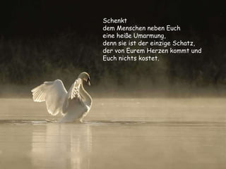 Schenkt  dem Menschen neben Euch  eine heiße Umarmung,  denn sie ist der einzige Schatz, der von Eurem Herzen kommt und Euch nichts kostet. 