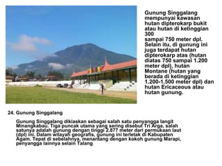 24. Gunung Singgalang Gunung Singgalang dikiaskan sebagai salah satu penyangga langit Minangkabau. Tiga puncak utama yang sering disebut Tri Arga, salah satunya adalah gunung dengan tinggi 2.877 meter dari permukaan laut (dpl) ini. Dalam wilayah geografis, gunung ini terletak di Kabupaten Agam. Tepat di sebelahnya, menantang dengan kokoh gunung Marapi, penyangga lainnya selain Talang Gunung Singgalang mempunyai kawasan hutan dipterokarp bukit atau hutan di ketinggian 300 sampai 750 meter dpl. Selain itu, di gunung ini juga terdapat hutan dipterokarp atas (hutan diatas 750 sampai 1.200 meter dpl), hutan Montane (hutan yang berada di ketinggian 1.200-1.500 meter dpl) dan hutan Ericaceous atau hutan gunung.   