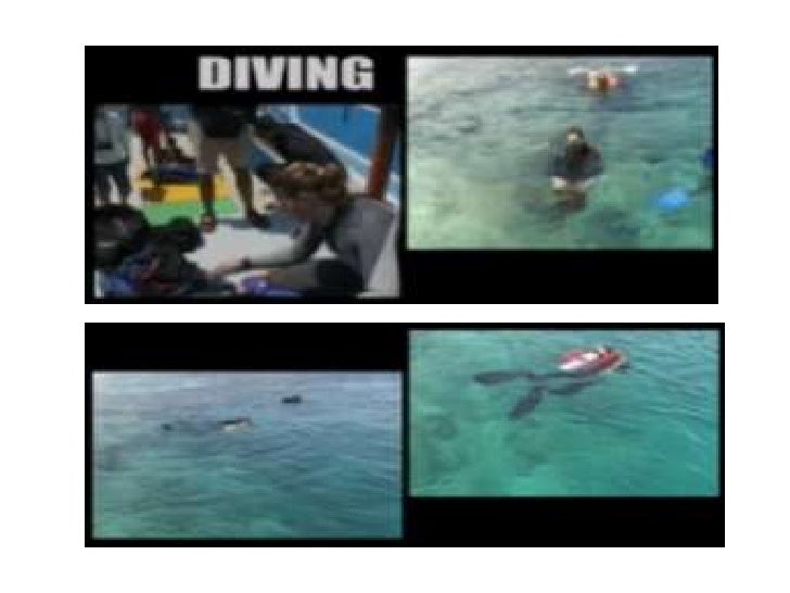 Wisata Bawah Laut Belitung Timur Wisata Bawah Laut Belitung Timur