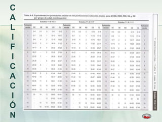 C
A
L
I
F
I
C
A
C
I
Ó
N
 