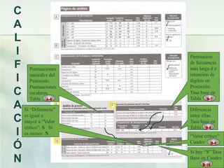 C
A                                 114
                                  114
                                  114
                                  94
                                         94
                                        123
                                         94
                                         123
                                               -9
                                               20
                                               -29   S
                                                         10.8
                                                         2.5




L
                                  94     94     0
                                  123    94    29    S   4.3




I                                                               Puntuación
F Puntuaciones        10
                            9
                           12.6
                                          0
                                        -0.6
                                                                de Secuencia
                                                                más larga d e
     naturales del                                              retención de
I Protocolo.
                            9            -1
                      10


                      12
                           12.6         0.4
                                                                dígitos en
     Puntuaciones           9            0
                                                                Protocolo.
C escalares
                           12.6         -0.6
                      8
                                                                Tasa base en
     Tabla .                                                    Tabla
A Si “Diferencia”                                               Diferencia

C es iguala o“Valor
  mayor
                                                                entre ellas.
                                                                Tasa base en
  crítico”: S Si                                                Tabla
I es menor: N                                                   “Valor crítico”
                                                                Cuadro
Ó                                                               Si hay “S” Tasa
N                                                               Base en Cuadro
 