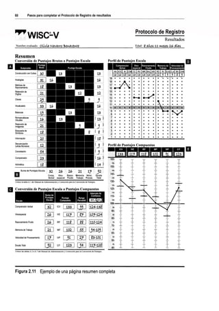 WISC V MANUAL VN 2018.pdf