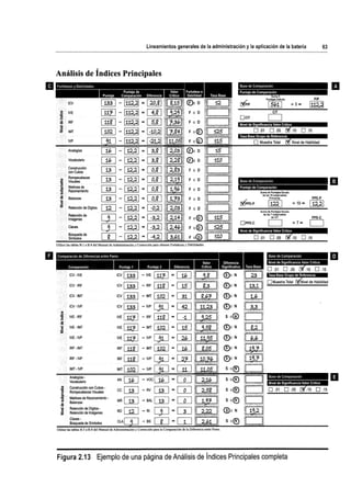WISC V MANUAL VN 2018.pdf