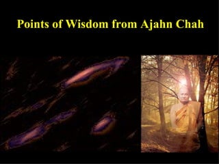 Points of Wisdom from Ajahn Chah 