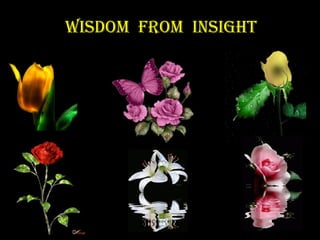 Wisdom From insight
 