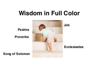 Wisdom in Full Color
Job
Psalms
Proverbs
Ecclesiastes
Song of Solomon
 