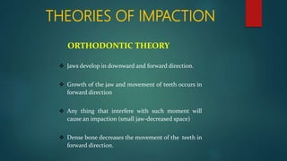 THEORIES OF IMPACTION
ORTHODONTIC THEORY
 Jaws develop in downward and forward direction.
 Growth of the jaw and movement of teeth occurs in
forward direction
 Any thing that interfere with such moment will
cause an impaction (small jaw-decreased space)
 Dense bone decreases the movement of the teeth in
forward direction.
 