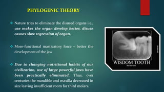 PHYLOGENIC THEORY
 Nature tries to eliminate the disused organs i.e.,
use makes the organ develop better, disuse
causes slow regression of organ.
 More-functional masticatory force – better the
development of the jaw
 Due to changing nutritional habits of our
civilization, use of large powerful jaws have
been practically eliminated. Thus, over
centuries the mandible and maxilla decreased in
size leaving insufficient room for third molars.
 