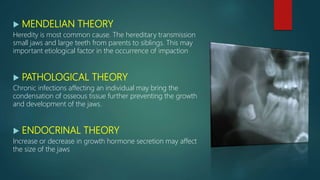  MENDELIAN THEORY
Heredity is most common cause. The hereditary transmission
small jaws and large teeth from parents to siblings. This may
important etiological factor in the occurrence of impaction
 PATHOLOGICAL THEORY
Chronic infections affecting an individual may bring the
condensation of osseous tissue further preventing the growth
and development of the jaws.
 ENDOCRINAL THEORY
Increase or decrease in growth hormone secretion may affect
the size of the jaws
 