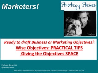 ©2021 Steven Litt. All rights reserved. May not be scanned, copied, duplicated or posted publicly to a website in a whole or in part.
Marketers!
Professor Steven Litt
@StrategySteven
Ready to draft Business or Marketing Objectives?
Wise Objectives: PRACTICAL TIPS
Giving the Objectives SPACE
 