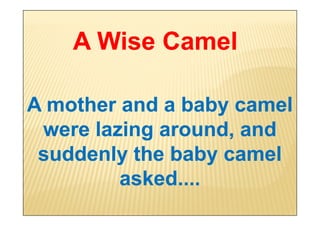 Wise word-from-a-camel