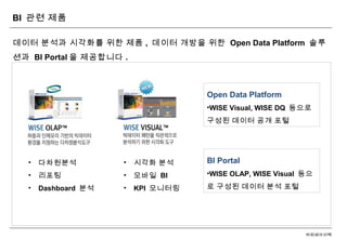 Wise bi 사업소개 | PPT