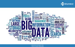 Wiseminer Informática LTDA
Todos os Direitos Reservados
 