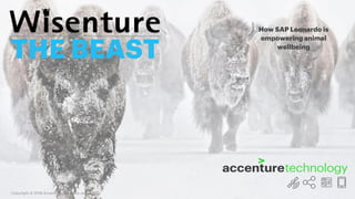 Copyright © 2018 Accenture. All rights reserved.
THE BEAST
How SAP Leonardo is
empowering animal
wellbeing
 