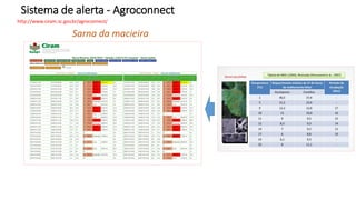 Sistema de alerta - Agroconnect
Sarna da macieira
 