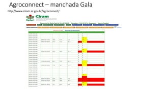 Agroconnect – manchada Gala
http://www.ciram.sc.gov.br/agroconnect/
 