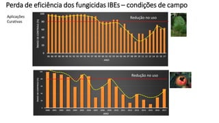 0
20
40
60
80
100
85 86 87 88 89 90 91 92 93 94 95 96 97 98 99 00 01 02 03 04 05 06 07 08 09 10 11 12 12 14 15 16 17
ÍNDICE
DE
CONTROLE
(%)
ANO
0
20
40
60
80
100
2000 2001 2002 2003 2004 2005 2006 2007 2008 2009 2010 2011 2012 2013 2014 2015 2016 2017
ÍNDICE
DE
CONTROLE
(%)
ANO
Redução no uso
Perda de eficiência dos fungicidas IBEs – condições de campo
Redução no uso
Aplicações
Curativas
 