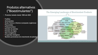Produtos alternativos
(“Bioestimulantes”)
• Produtos testado desde 1998 até 2020
✓ Fosfitos
✓ Aminoácidos
✓ Ácido Fúlvico e Húmico (composto orgânicos)
✓ Flavonóides
✓ Polissacarídeos
✓ Extratos de plantas
✓ Extratos de algas
✓ Sais inorgânicos
✓ Fungicidas biológicos
✓ Bactéria promotoras de crescimento de plantas
Bacillus
 