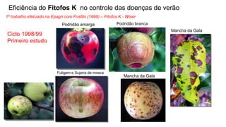 Ciclo 1998/99
Primeiro estudo
Podridão amarga Podridão branca
Fuligem e Sujeira de mosca
Mancha da Gala
Eficiência do Fitofos K no controle das doenças de verão
Mancha da Gala
1º trabalho efetuado na Epagri com Fosfito (1998) – Fitofos K - Wiser
 