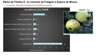 Efeito do Fitofos K no controle da Fuligem e Sujeira de Mosca
➢ Complexo: Gloeodes pomigena & Schizothyrium pomi)
1998/99 - Fuji
0 10 20 30 40 50 60
Testemunha
Fitofos K-300 mL
Fitofos K-400 mL
Fitofos K+Fitofos CaB-150mL+150mL
Fitofos K+Fitofos CaB-150mL+150mL
Fitofos CaB-400mL
Orthocide-250g
Incidência (%) F&SM
Incidência (%) F&SM
a
b
b
b
b
b
c
 