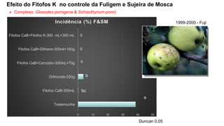 Efeito do Fitofos K no controle da Fuligem e Sujeira de Mosca
➢ Complexo: Gloeodes pomigena & Schizothyrium pomi)
1999-2000 - Fuji
0 10 20 30 40 50
Testemunha
Fitofos CaB-300mL
Orthocide-250g
Fitofos CaB+Cercobin-300mL+70g
Fitofos CaB+Dithane-300ml+160g
Fitofos CaB+Fitofos K-300 mL+300 mL
Incidência (%) F&SM
a
c
c
b
bc
c
Duncan 0,05
 
