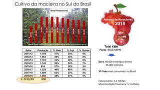 Cultivo da macieira no Sul do Brasil
Safra Produção % Gala % Fuji % Outras
2011/12 1.184 57% 35% 8%
2012/13 1.063 58% 34% 8%
2013/14 1.165 53% 39% 8%
2014/15 1.145 59% 34% 7%
2015/16 818 57% 38% 5%
2016/17 1.329 46% 48% 6%
2017/18 1.094 62% 33% 5%
2018/19 1.059 48% 47% 5%
2019/20 890
Gera: 48.000 empregos diretos
96.000 indiretos
3º Fruta mais consumida no Brasil
Faturamento: 2,1 bilhões
Movimentação financeira: 5,1 bilhões
 