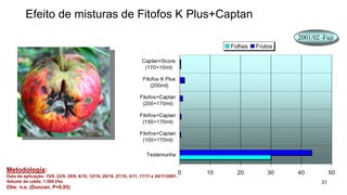 Efeito de misturas de Fitofos K Plus+Captan
0 10 20 30 40 50
Testemunha
Fitofos+Captan
(100+170ml)
Fitofos+Captan
(150+170ml)
Fitofos+Captan
(200+170ml)
Fitofos K Plus
(200ml)
Captan+Score
(170+10ml)
Folhas Frutos
31
Metodologia:
Data da aplicação: 15/9, 22/9, 29/9, 6/10, 12/10, 20/10, 27/10, 3/11, 17/11 e 24/11/2001.
Volume de calda: 1.500 l/ha
Obs: n.s. (Duncan, P<0,05)
 