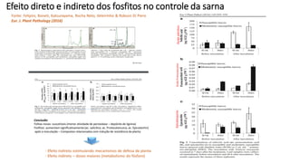 Efeito direto e indireto dos fosfitos no controle da sarna
Conclusão:
Folhas novas: suscetíveis (menor atividade de peroxidase – depósito de lignina)
Fosfitos: aumentam significativamente (ac. salicílico, ac. Protocateicuico, ac. Epicatechin)
após a inoculação – Compostos relacionados com indução de resistência da planta
Fonte: Felipini, Boneti, Katsurayama, Rocha Neto, Veleirinho & Robson Di Piero
Eur. J. Plant Pathology (2016)
- Efeito indireto estimulando mecanismos de defesa da planta
- Efeito indireto – doses maiores (metabolismo do fósforo)
Ácido
Protocatecóico
Ácido
salicílico
Epicatequina
 